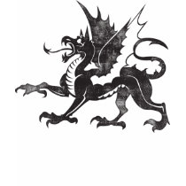 Dragon t-shirts