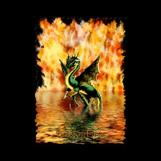 DRAGONFIRE the Dragon Art Poster