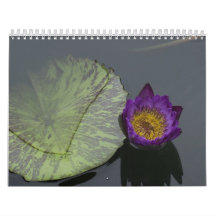Dragonflies and water lilies wall calendar