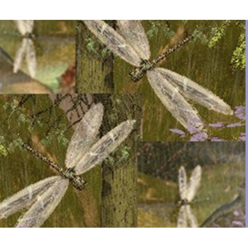 Dragonflies zazzle_mousepad