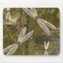 Dragonflies mousepads