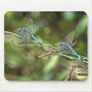 Dragonflies on Branch Mousepad mousepad