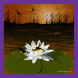 Dragonflies on the Pond Poster posters