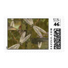 postcard - dragonfly postage postcard - dragonfly postage