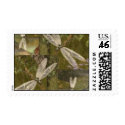 Dragonflies postage by WhiteOak50 Dragonflies postage