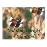 Dragonflies Postcards