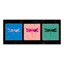 Dragonflies posters