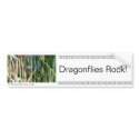 Dragonflies Rock! bumper stickers