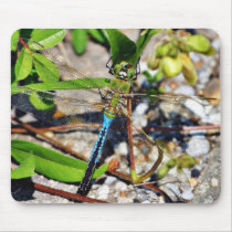 Dragonfliy mousepads