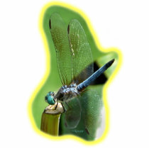 Dragonfly  01 photo sculptures