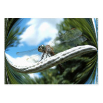 Dragonfly 182 ~ ATC business cards by Andy2302 Dragonfly 182 ~ ATC business cards
