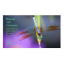 Dragonfly 1 - business card template Dragonfly 1 - business card template