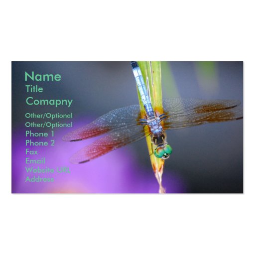 Dragonfly 1 - business card template (front side)