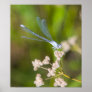 Dragonfly #2 posters