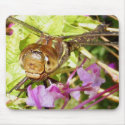 Dragonfly 79 ~ mousepad by Andy2302 Dragonfly 79 ~ mousepad