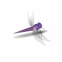 Dragonfly Acrylic Cut Out