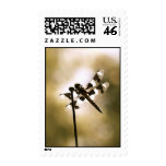 Dragonfly afternoon postage stamps