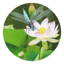 dragonfly and lotus sticker