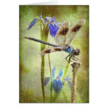 Dragonfly at Lake Martin Card