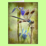 Dragonfly at Lake Martin cards