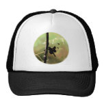 Dragonfly at Rest Hats