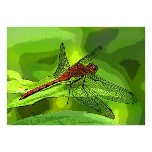 Dragonfly ATC Business Cards (front side)