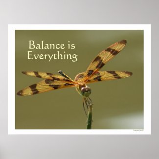 Dragonfly Balance Photo Poster print