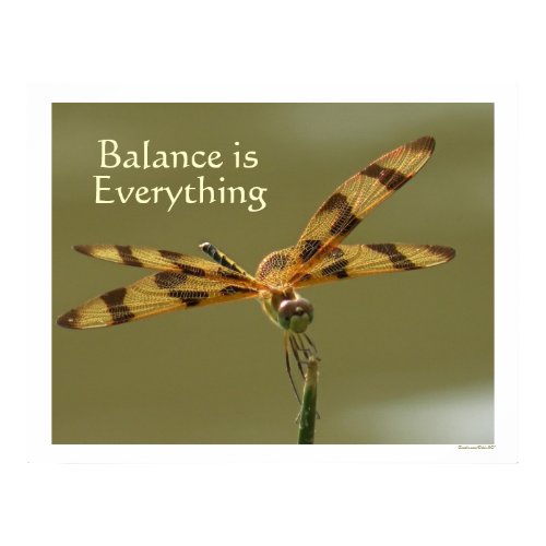 Dragonfly Balance Photo Poster print