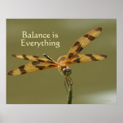 Dragonfly Balance Poster