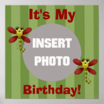 Dragonfly Birthday Poster
