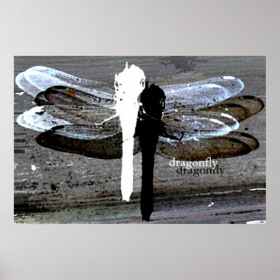 Dragonfly (black and white seperation) poster by draemknot