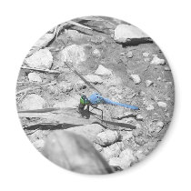 Dragonfly Blue Magnet by Bruck_Simp Dragonfly Blue Magnet
