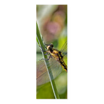 Dragonfly Bookmark Business Card Templates