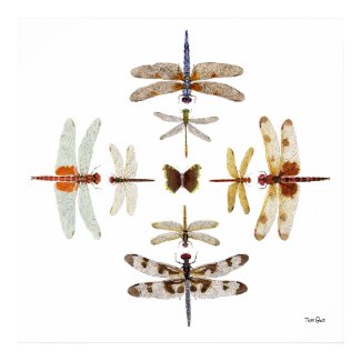 Dragonfly Bullseye Graphics print