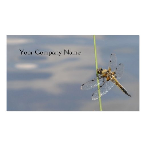 Dragonfly business card (front side)