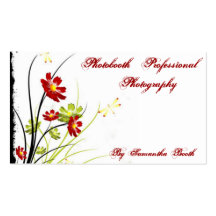 Dragonfly Business Card