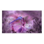 Dragonfly Business Card Templates