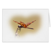Dragonfly cards