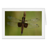 Dragonfly Greeting Cards