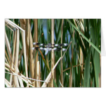 Dragonfly cards