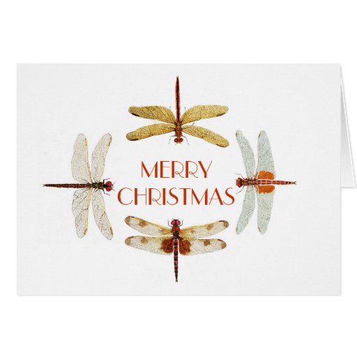 dragonfly-christmas-card-zazzle