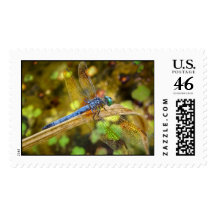 Dragonfly close-up stamp