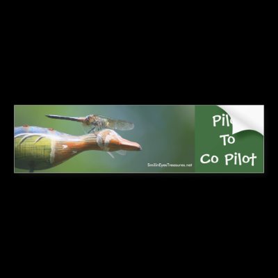 Dragonfly Co Pilot Funny Nature Bumper Sticker by SmilinEyesTreasures