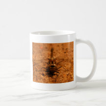Dragonfly Coffee Mug
