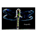 Dragonfly (colored outline) posters by draemknot Dragonfly (colored outline) posters
