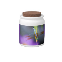 Dragonfly - container candy dish