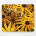 dragonfly daisies 1 mousepads