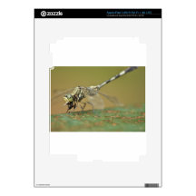 Dragonfly Decals For iPad 3