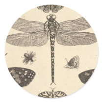 Dragonfly ( detail ) Vintage Art stickers by MyOtherPlanet Dragonfly ( detail ) Vintage Art stickers
