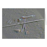 Dragonfly Digital Manipulation Note Card